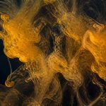 mitochondria and aging
