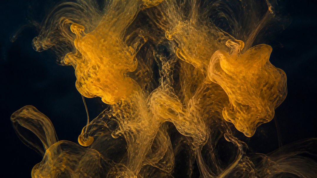 mitochondria and aging