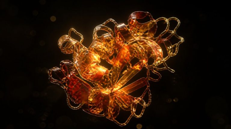 senescent cells senolytics
