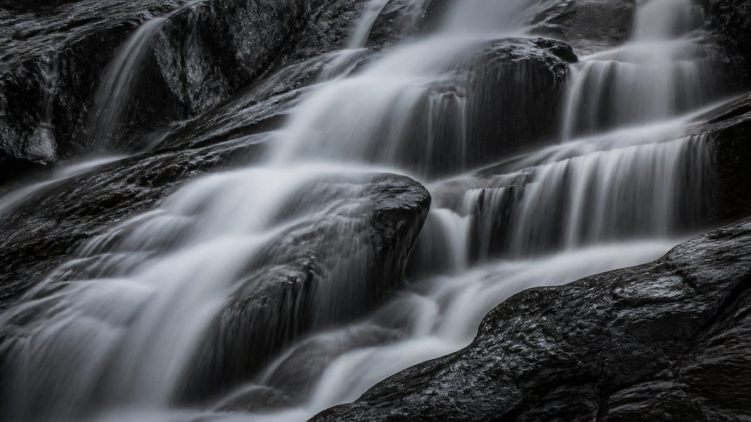 longevity stack budget