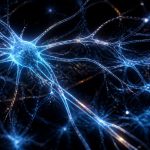 quercetin complete guide