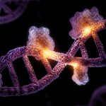 fda nmn regulatory history